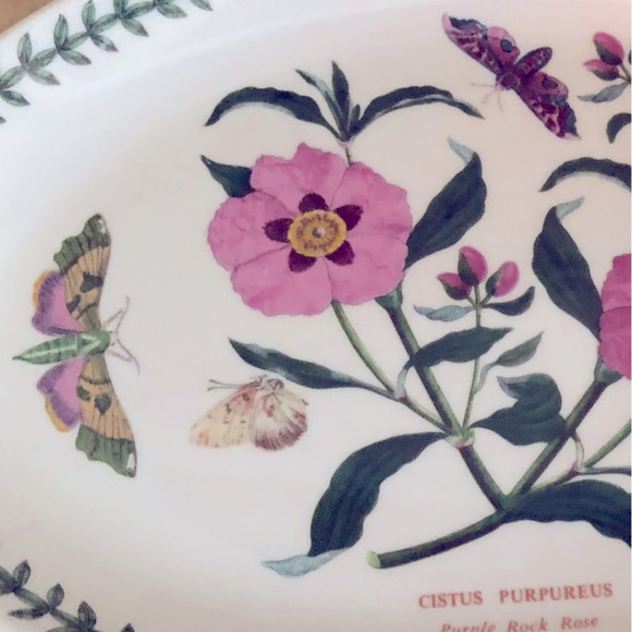 NWOT Portmeirion Beautiful Botanic Garden Oval Stoneware Platter EXC MINT COND!! - Picture 7 of 8